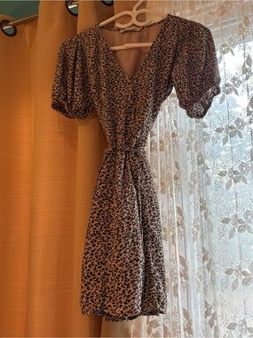 Abercrombie & Fitch Tan and Black Leopard Print V-Neck Mini Dress